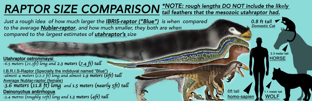All Raptor Sizes Explore the Best Utahraptorsize Art | DeviantArt