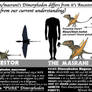 ASSETS MEET ANCESTORS- DIMORPHODON (updated)