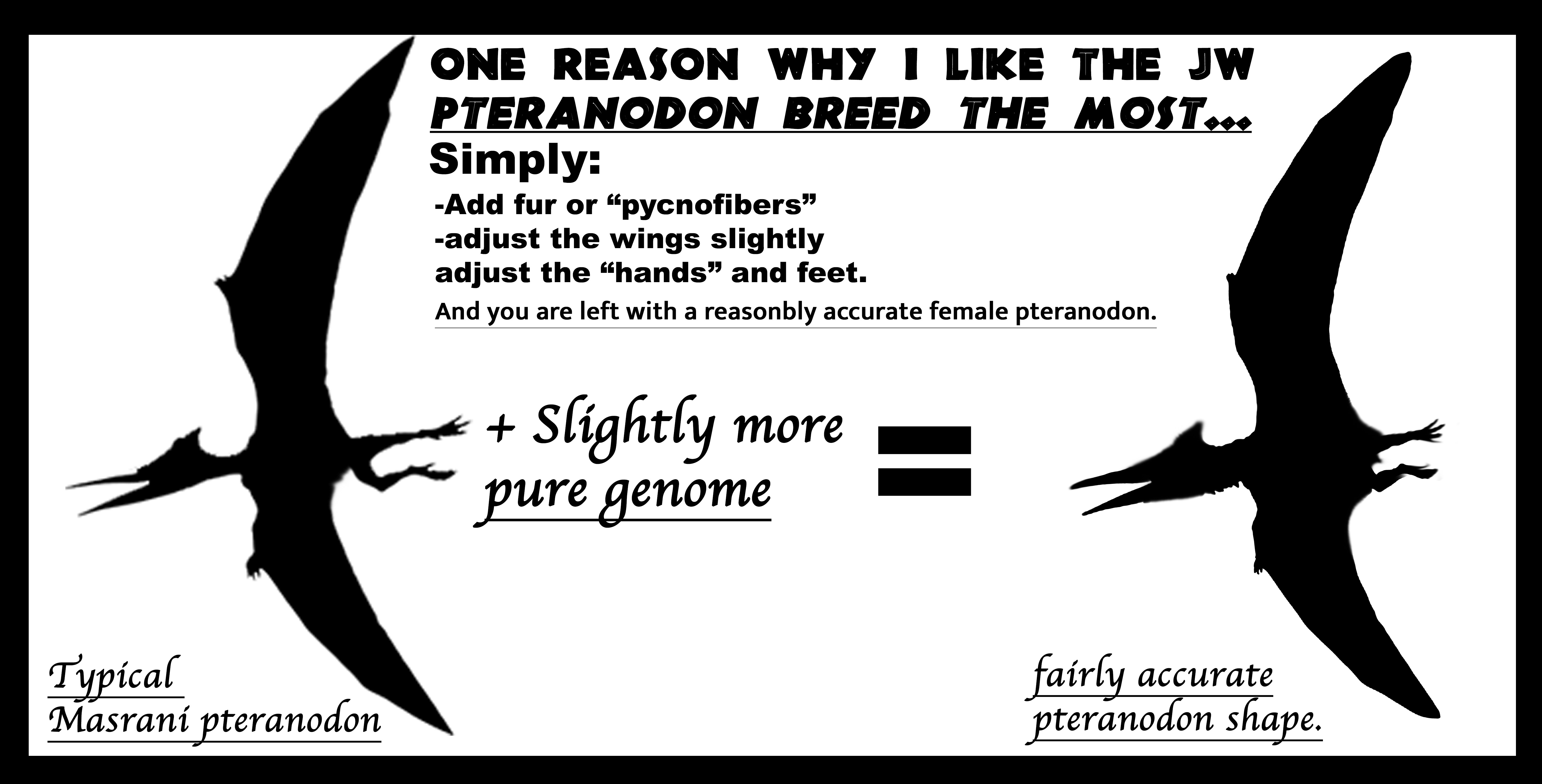 Difference Between Pterodactyl and Pteranodon  Compare the Difference  Between Similar Terms