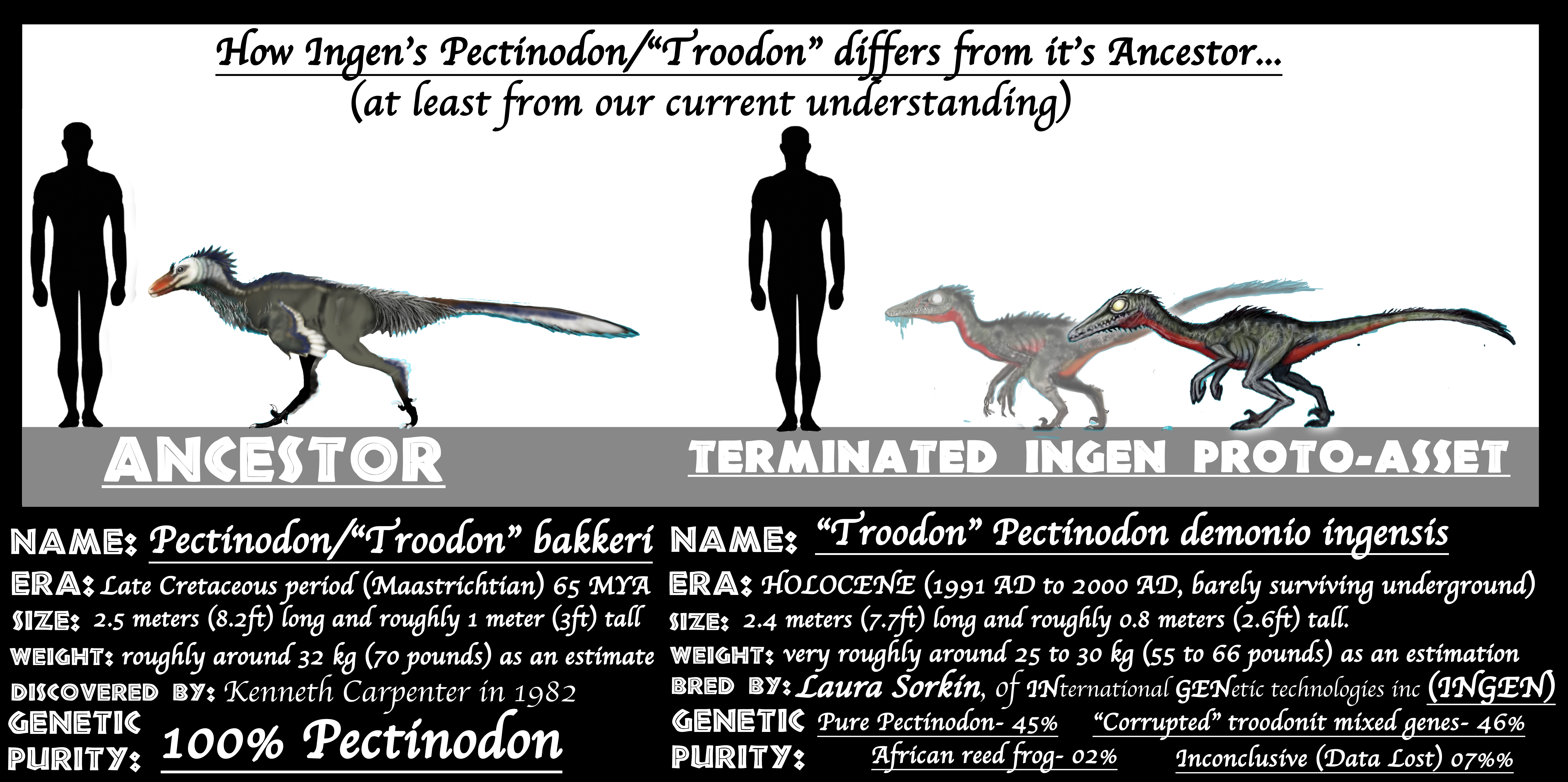 Pectinodon ASSETS MEET ANCESTORS- PECTINODON/TROODON by Taliesaurus on DeviantArt
