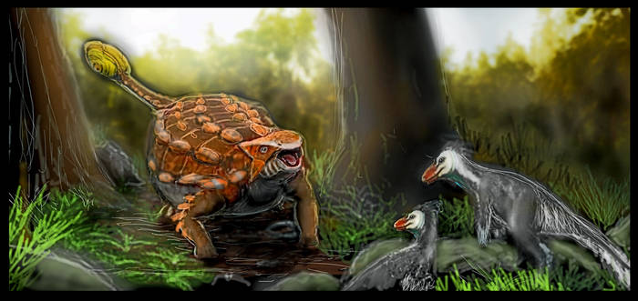Pectinodon Explore the Best Pectinodon Art | DeviantArt