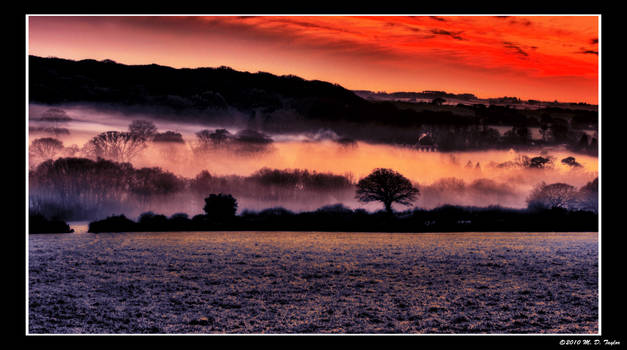 Misty Field II