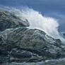 sea study 3