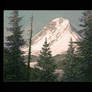 mountain romantic attempt