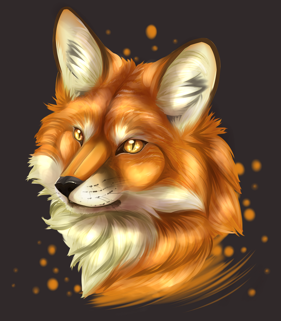 Fox portrait