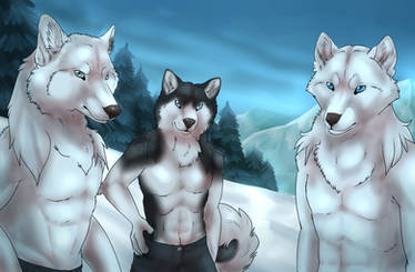 Commission for wolfdog