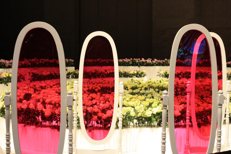 Rose Colored mirror by ClareChica on DeviantArt