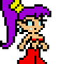 Shantae's Expansion