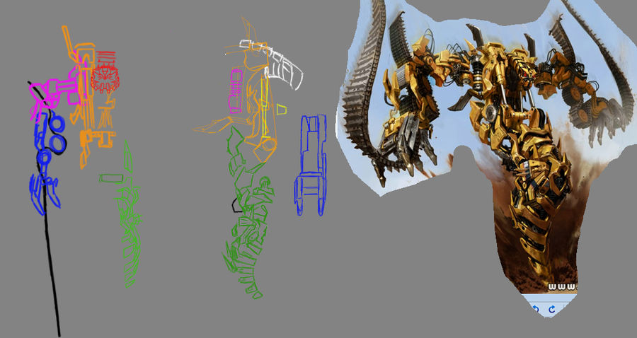 ortho proportion check