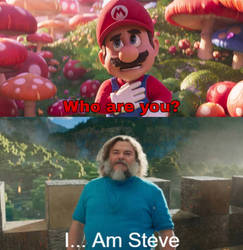 Mario meets Steve