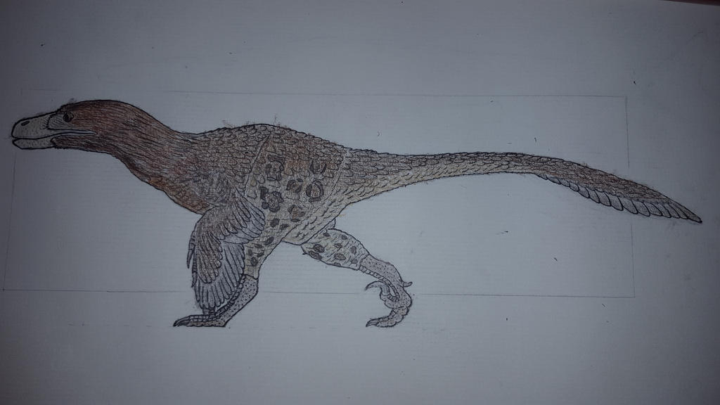 Utah Raptor Outlines Utahraptor by Braindroppings1 on DeviantArt