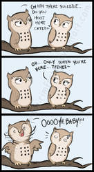 Comic - Owl Flirt