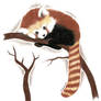 Red Panda