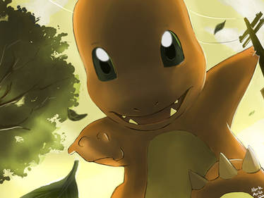 Pokemon: Charmander