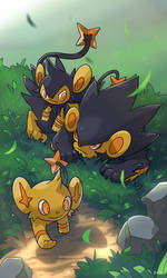 SHINY LUXRAY LINE