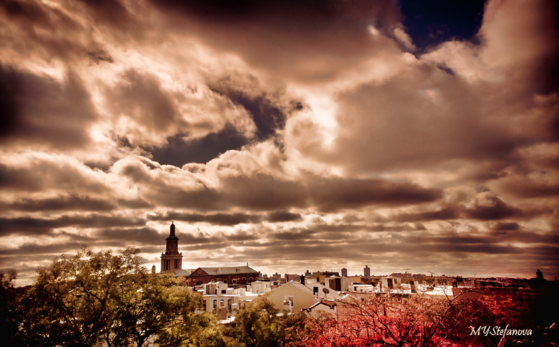 Noon Autumn Sky