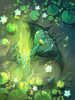 Water lilies and Manta ray