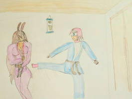 The Joy of Sparring: Rosie vs Sophie