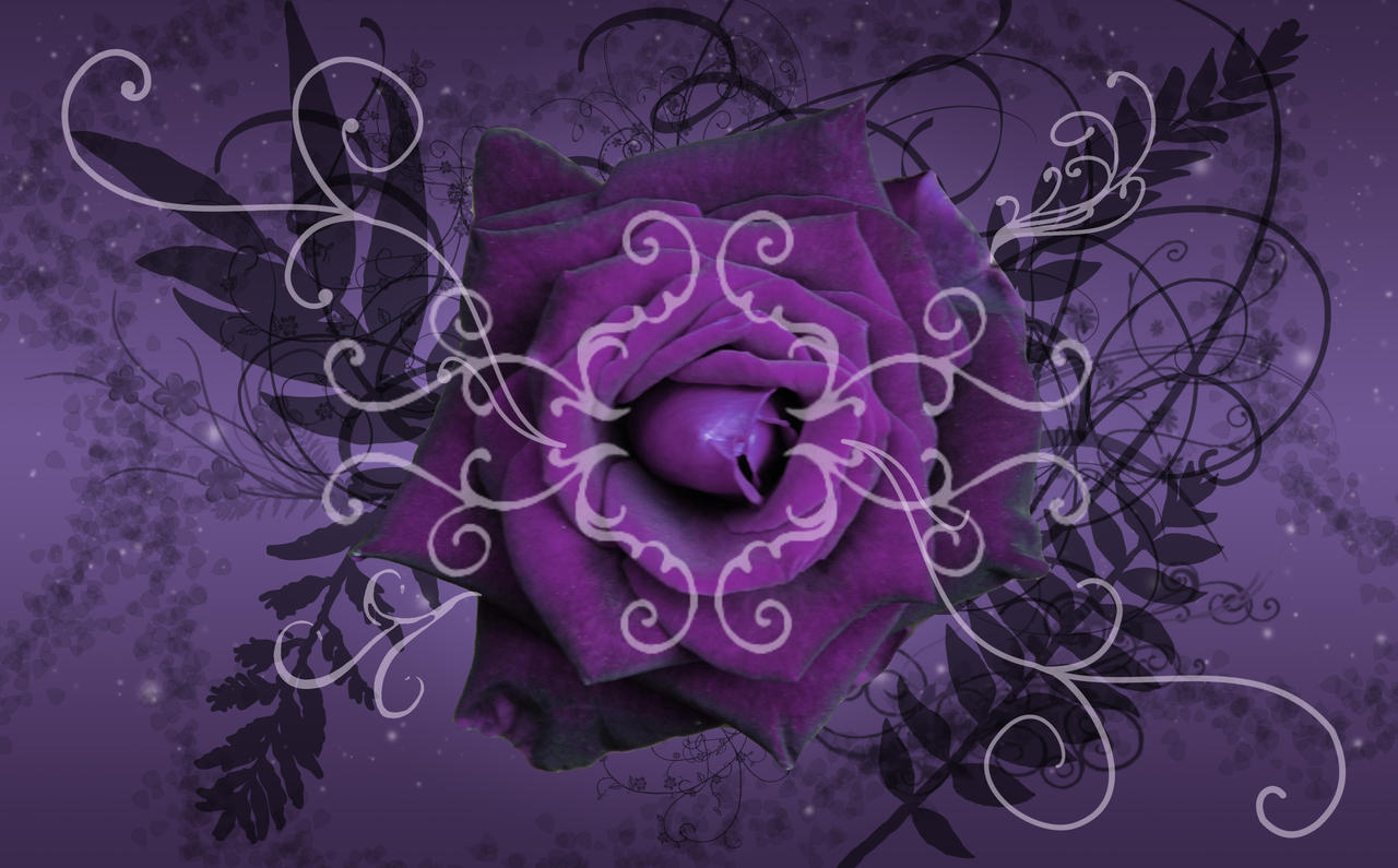 Purple Twilight Rose Wallpaper by silverperfume