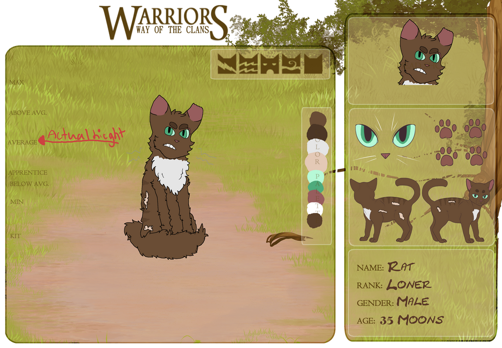 Rat Reference by Mittencaged on DeviantArt