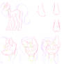 Poni Studies