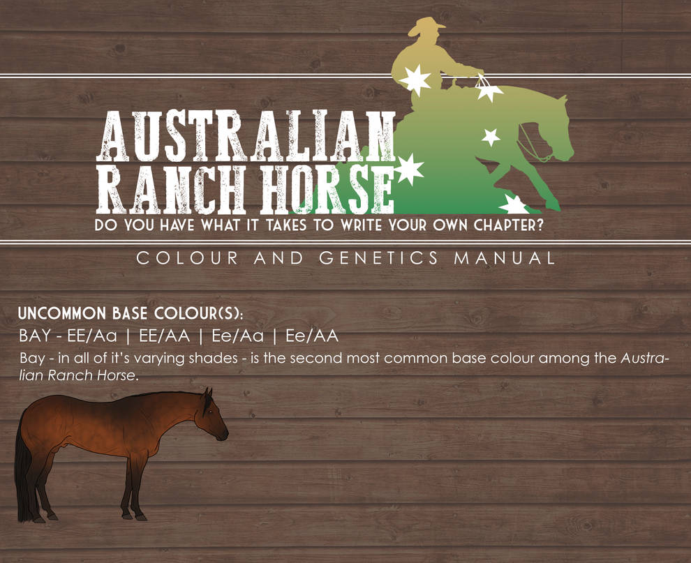 Uncommon Base Colours by BeautyAndTheHuntress on DeviantArt