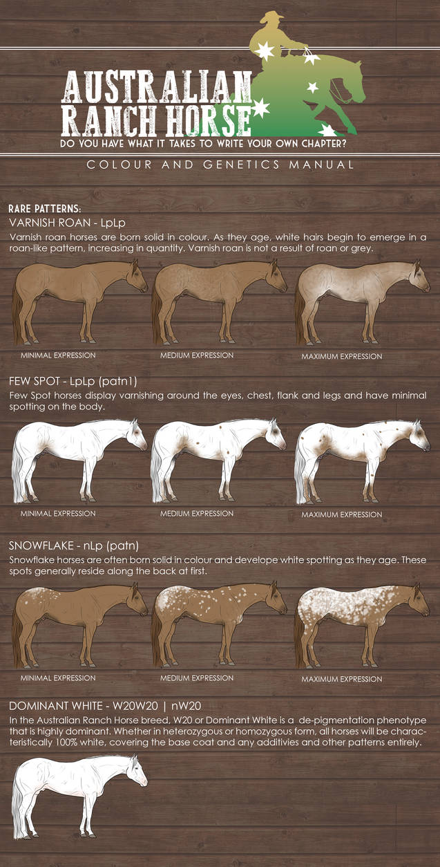 Rare Patterns by BeautyAndTheHuntress on DeviantArt