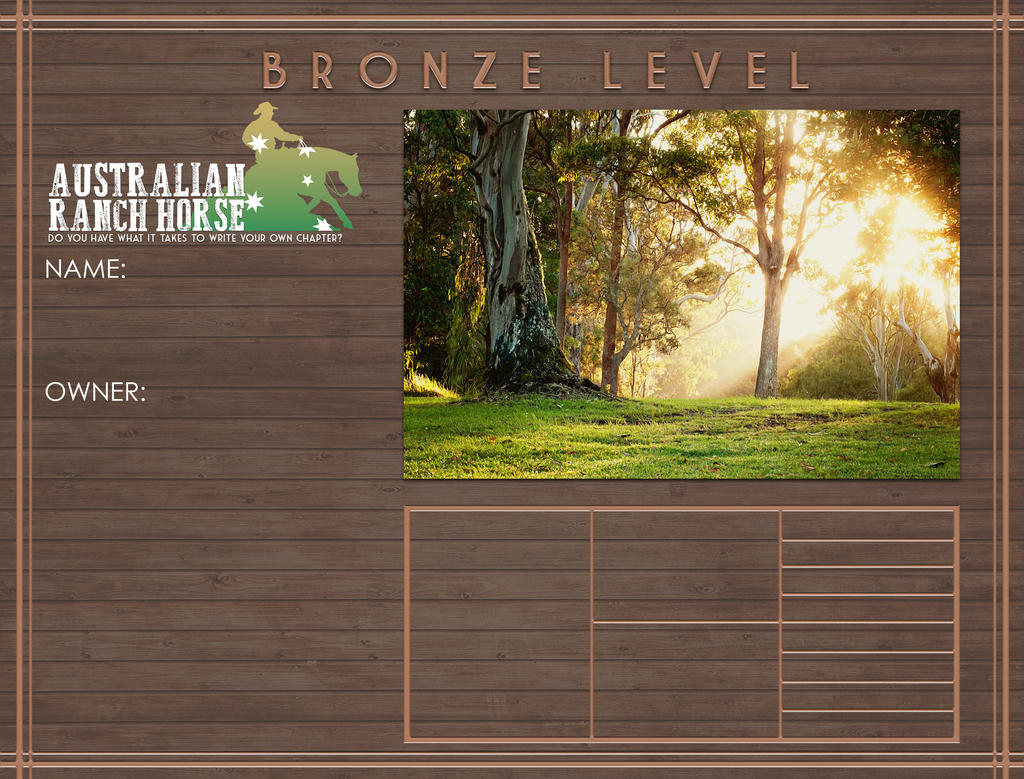 Bronze Level Bronze Level by BeautyAndTheHuntress on DeviantArt