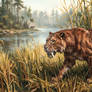 Smilodon Lurking on the Riverbank