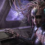 The Discarded Precursor