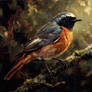 Common Redstart