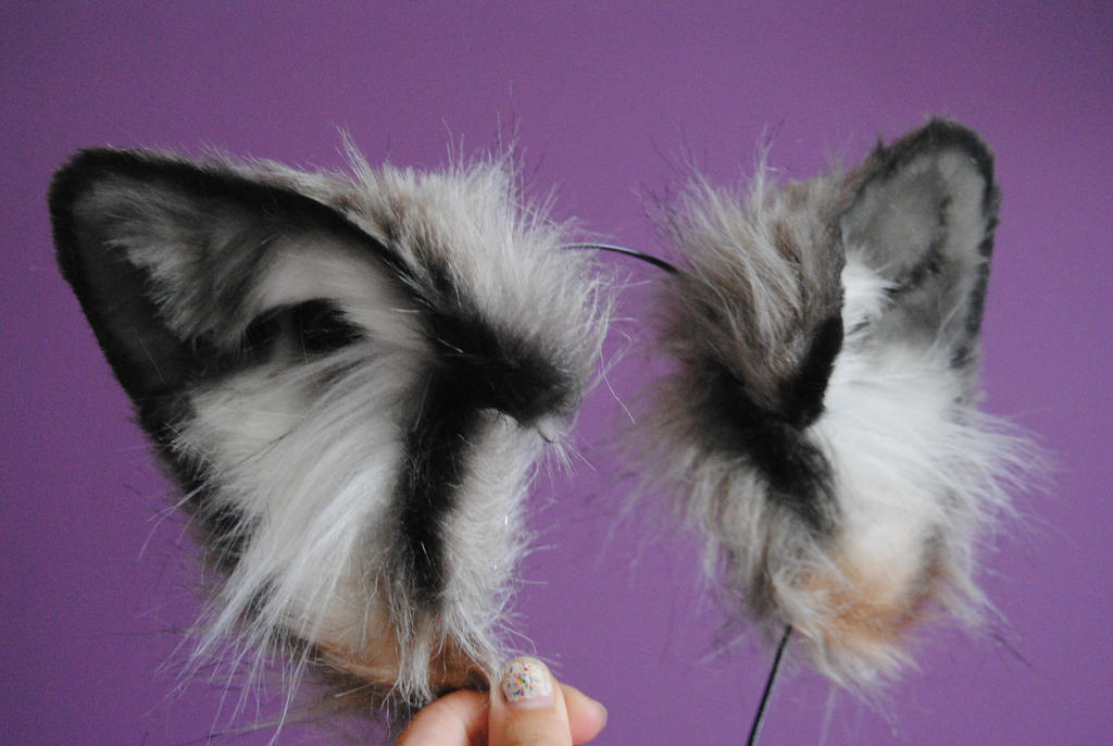 wolf ears by baarakka