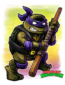 Ninjatron style - TMNT Donatello