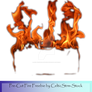 Fire Precut by CelticStrm-Stock