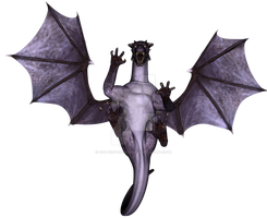 Landing Dragon by CelticStrm-Stock