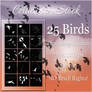 Bird Brushes by CelticStrm-Stock