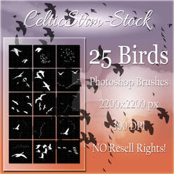 Bird Brushes by CelticStrm-Stock