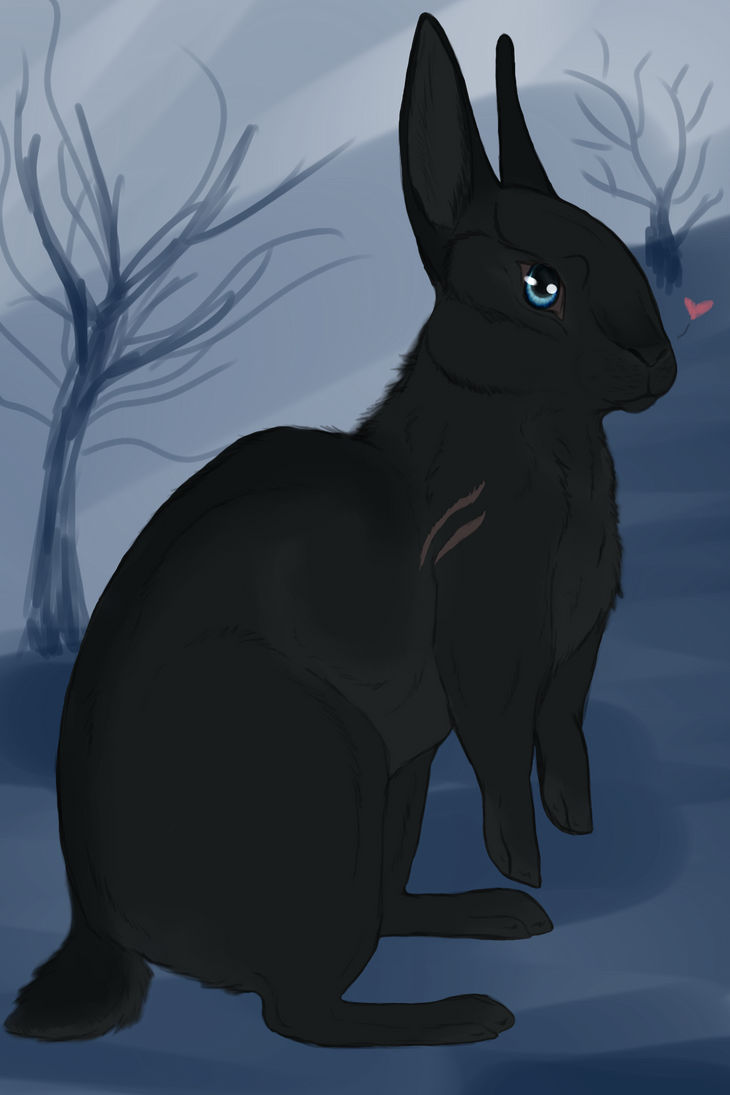 Black rabbit id by Phelza on DeviantArt