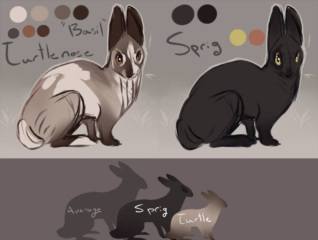Rabbit Sheets by Phelza on DeviantArt