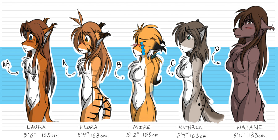 Twokinds Bust Size Chart by Twokinds on DeviantArt