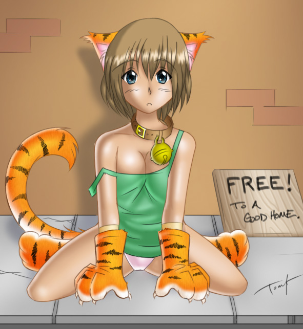 Free catgirl for a good home