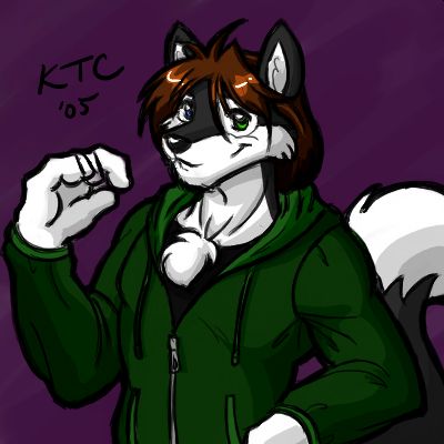 Avatar for DarkFallenFox