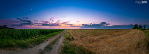 Harvested field by NorbertKocsis