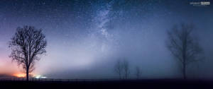 The night in fog