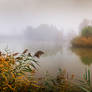 Misty autumn morning on the lake Kenderfold
