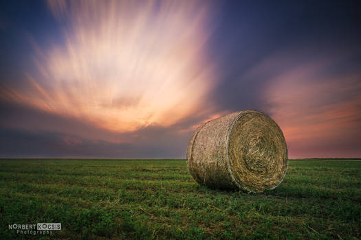 Straw sunset