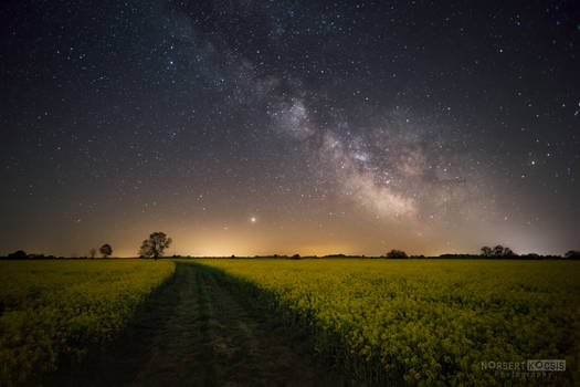 Spring sky with the milky way in the morning