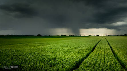 The incoming storm and green field