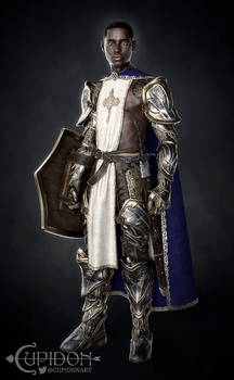 Owyn, the Paladin