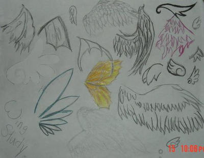 Fantasy Wing Study by PleinairBunny on DeviantArt